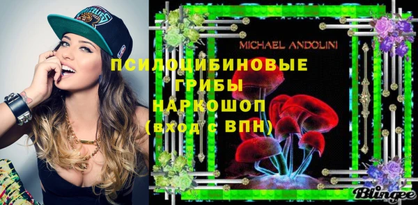 хмурый Балабаново