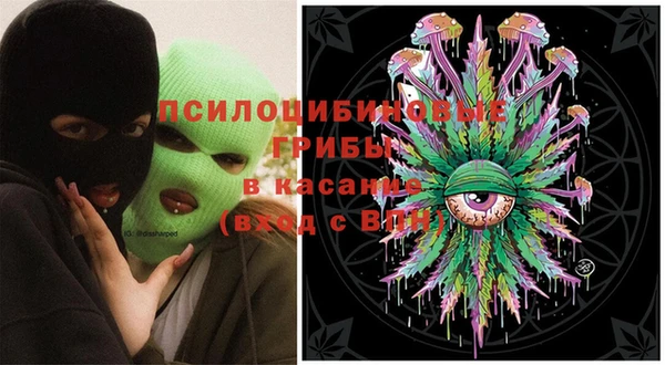 хмурый Балабаново